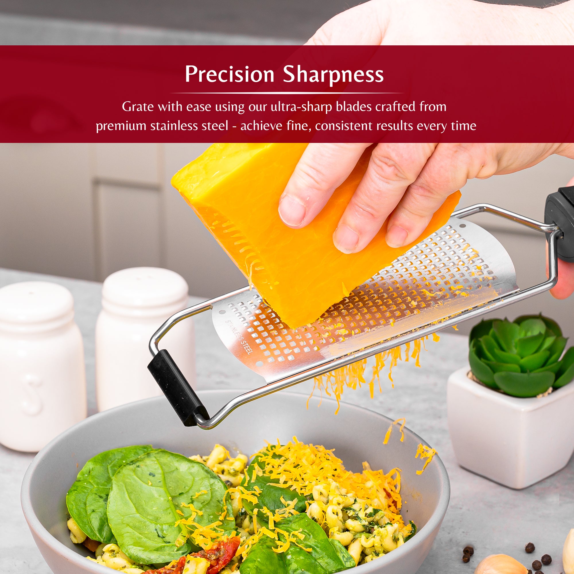 Stainless Steel Grater with Protective Case