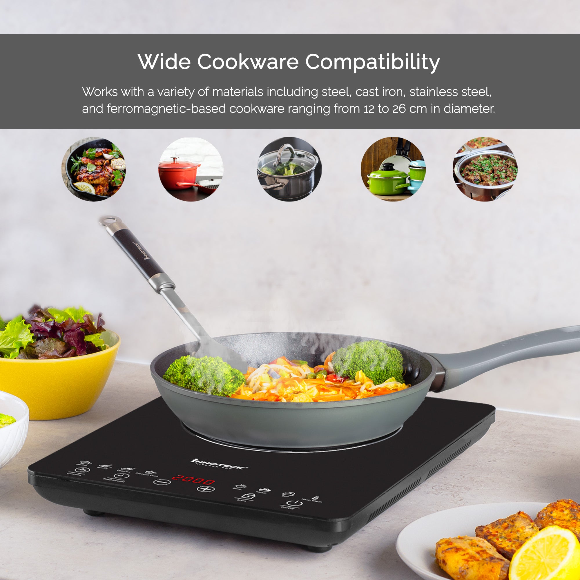 Portable Induction Hob